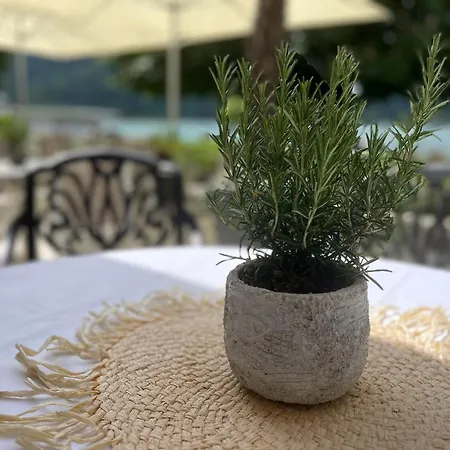 Hotell Strandhotel Kärntnerhof Pörtschach am Wörthersee